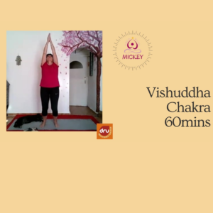 Working through the Chakras - Vishuddha