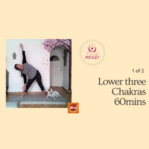 Working through the Chakras - the Lower Three