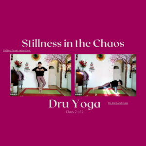 Stillness in the Chaos