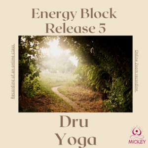 Energy Block Release 5