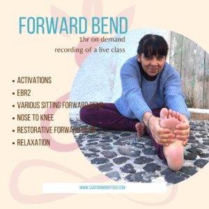 Focus on Forward Bends