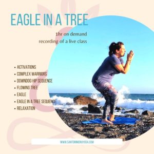 Eagle in a tree Sequence